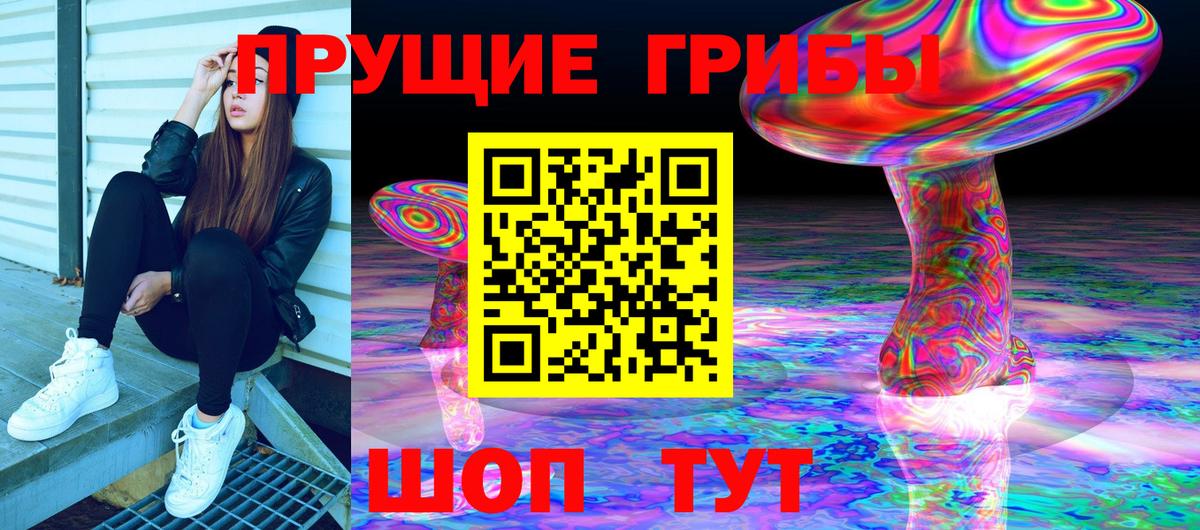 Псилоцибиновые грибы Magic Shrooms  что такое   Буйнакск  Вход с VPN 