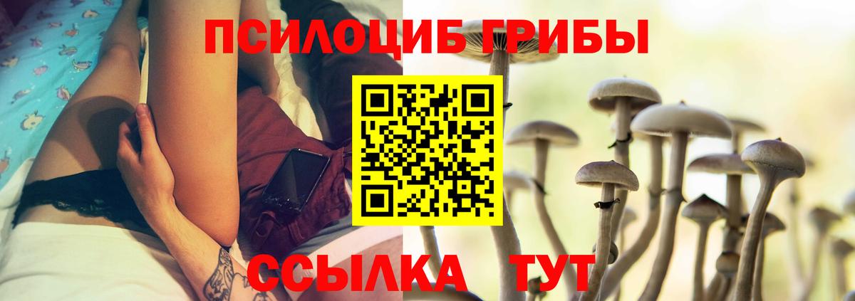 Псилоцибиновые грибы мицелий Буйнакск